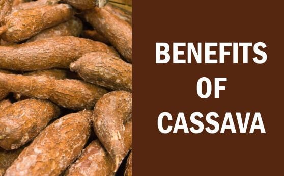 Numerous benefits of cassava