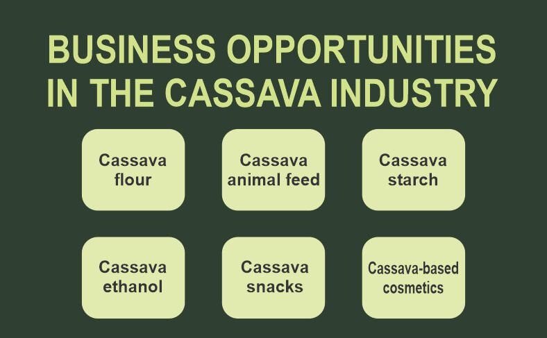 Investment and Business opportunities in the cassava value chain