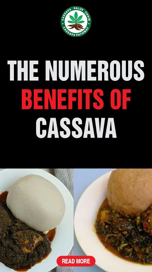 Nutritional and health benefits of cassava