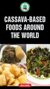 Cassava Ultimate Guide