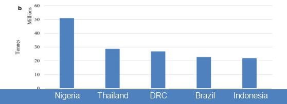 Cassava production in African countries