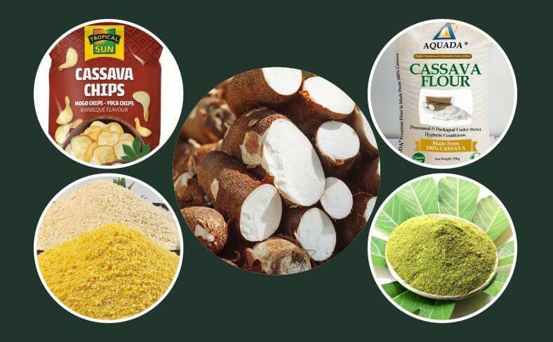 Assorted cassava products