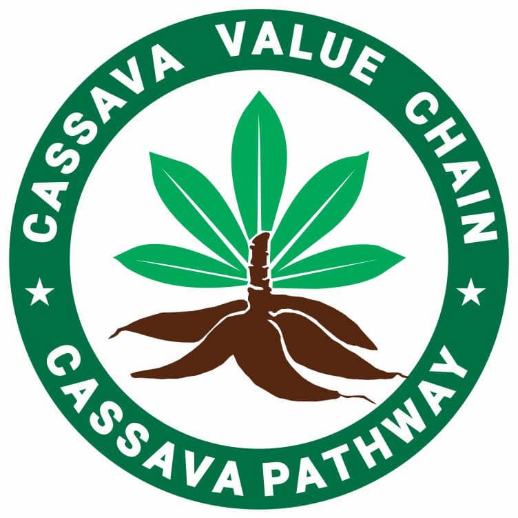 CASSAVA VALUE CHAIN