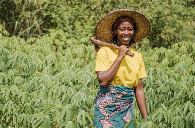 A local cassava farmer in her farm 