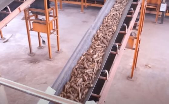 Cassava processing, a key point in the cassava value chain