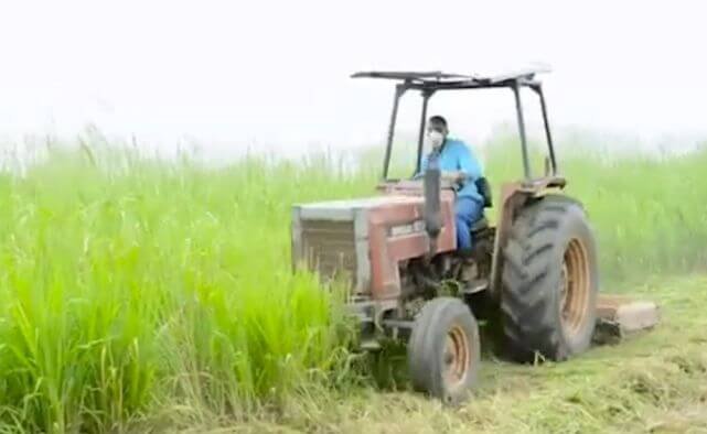 Preparing the land and soil for cassava planting