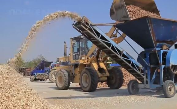 A mechanized cassava production