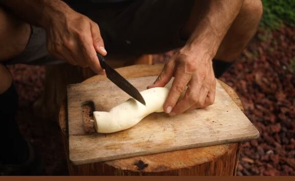 A peeled tapioca tuber