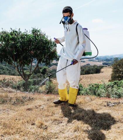 Application of pesticides and herbicides on a cassava farm