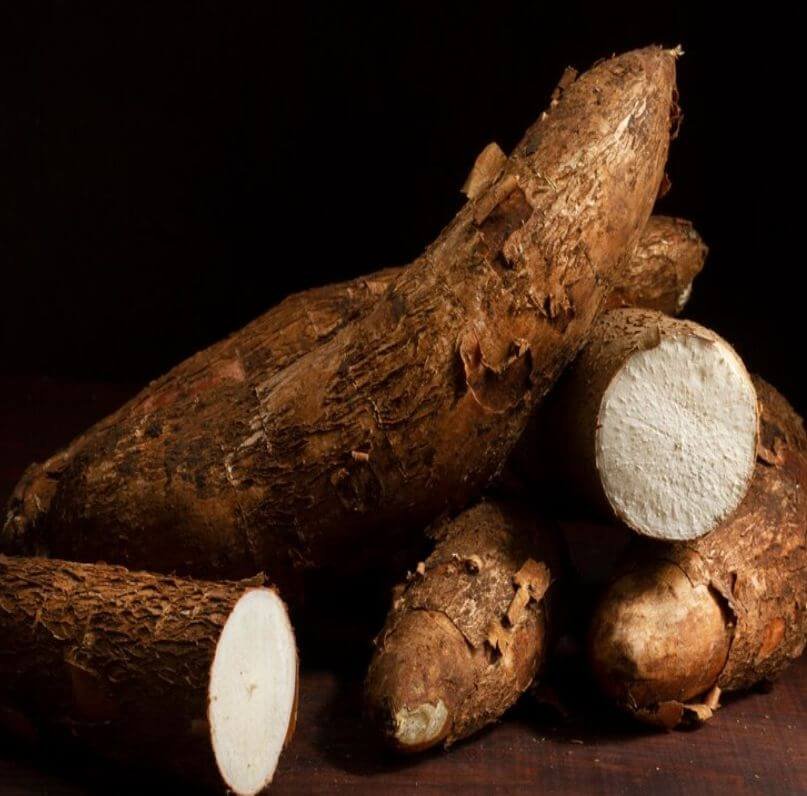 Signs cassava is ready to be harvested