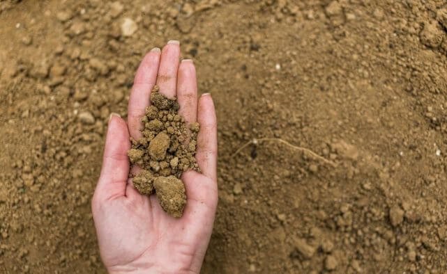 An example of depleted soil as an environmental impact of cassava farming