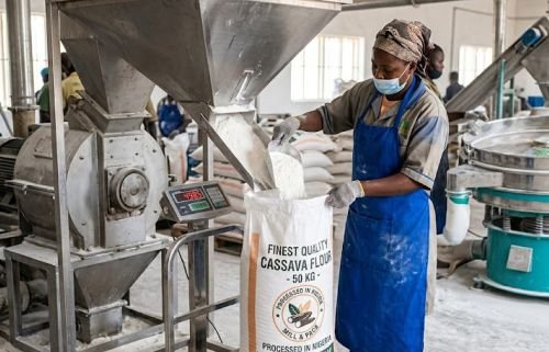 High quality cassava flour production and bagging