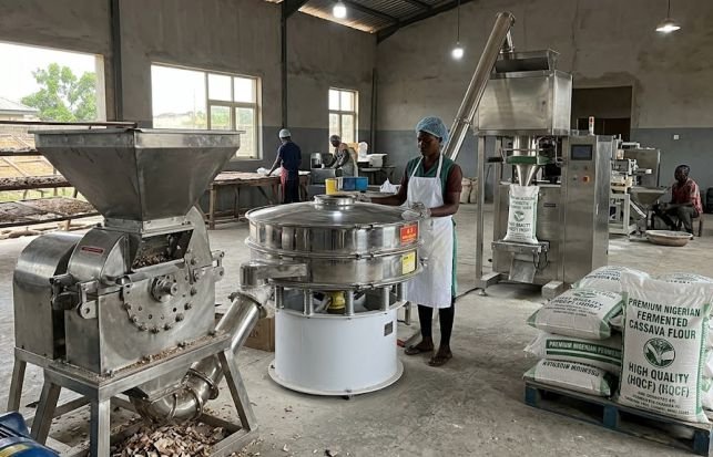 Milling, Sieving, and Storage after producing fermented cassava flour
