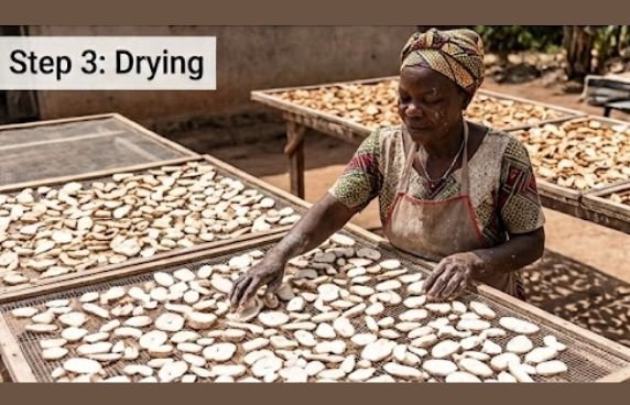 A woman sun-drying cut cassava roots for making cassava flour in the traditional way
