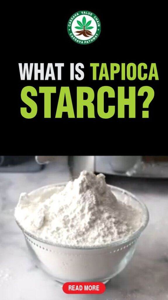 What is tapioca starch? Everything to know