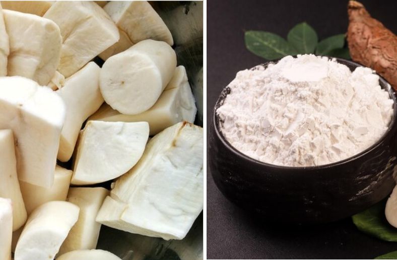 Cassava root and tapioca flour side by side