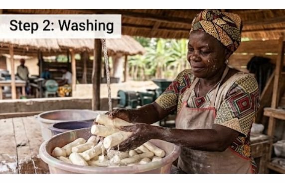 Washing cassava roots with running water for making cassava starch in the traditional way