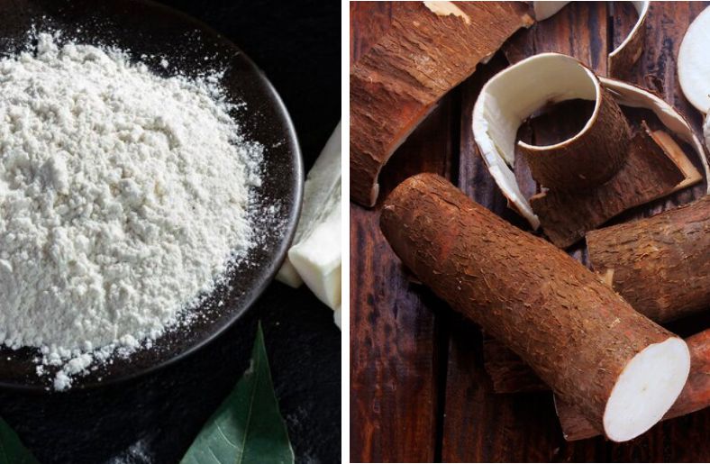 Cassava root and tapioca powder