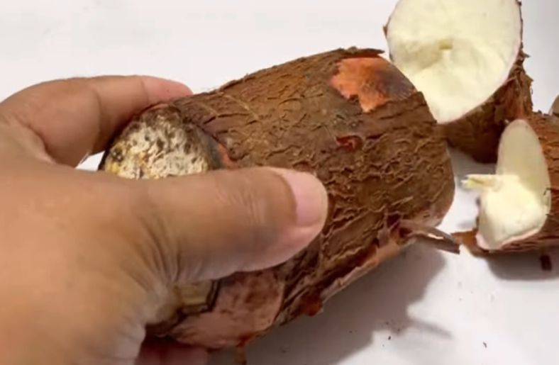 Peeling and washing the cassava root