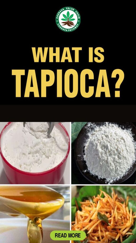 Tapioca guide