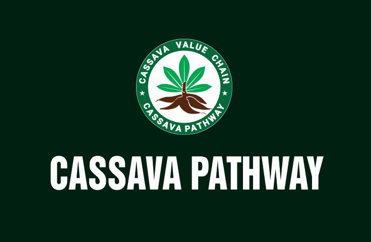 Branding for cassava pathway for cassava business 