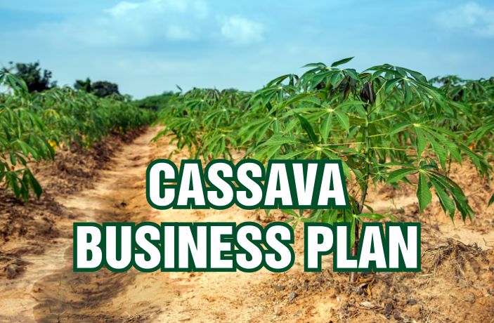 How to write cassava business plan