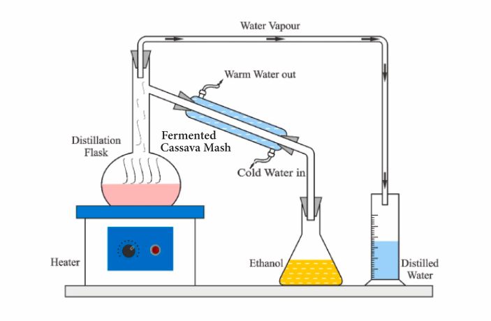 A simple cassava ethanol extraction setup