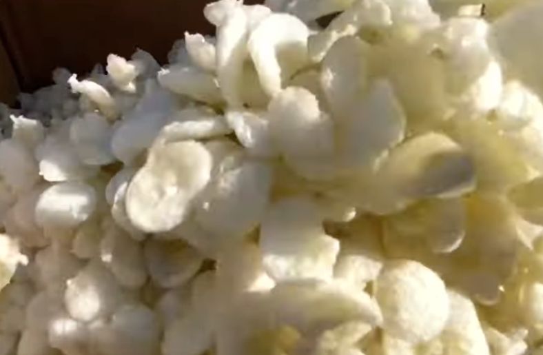 A typical modified cassava starch