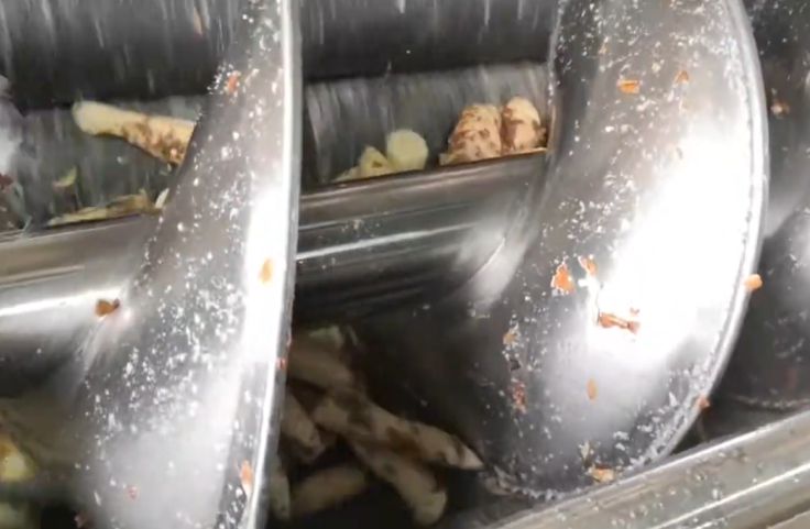 Drum rotation and blade contact with cassava roots