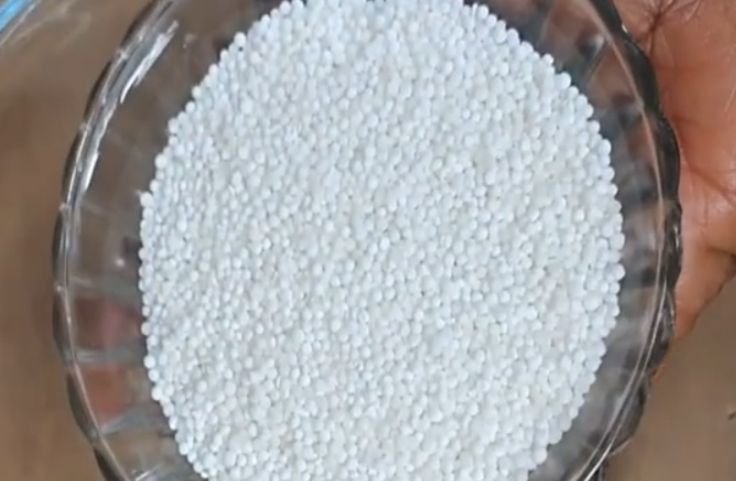 White small pearls - Best tapioca pearls for pudding