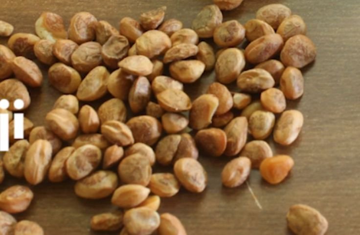 Chironji for sabudana