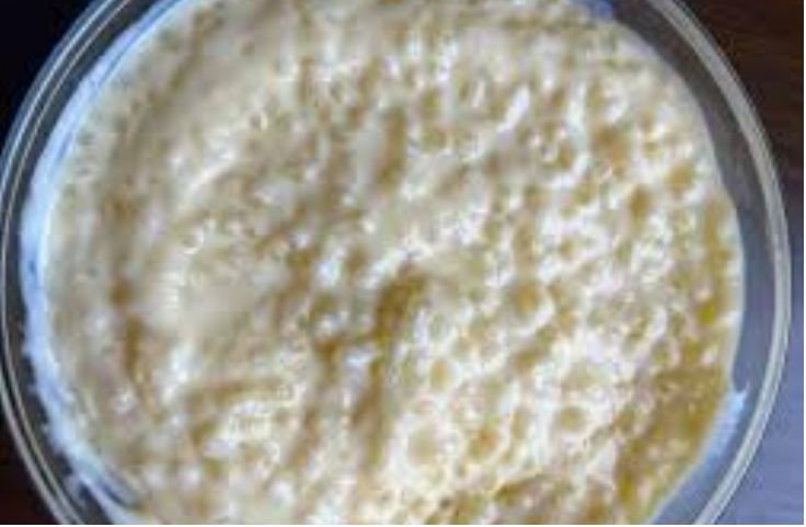 A bowl of Dairy-Free Tapioca Pudding