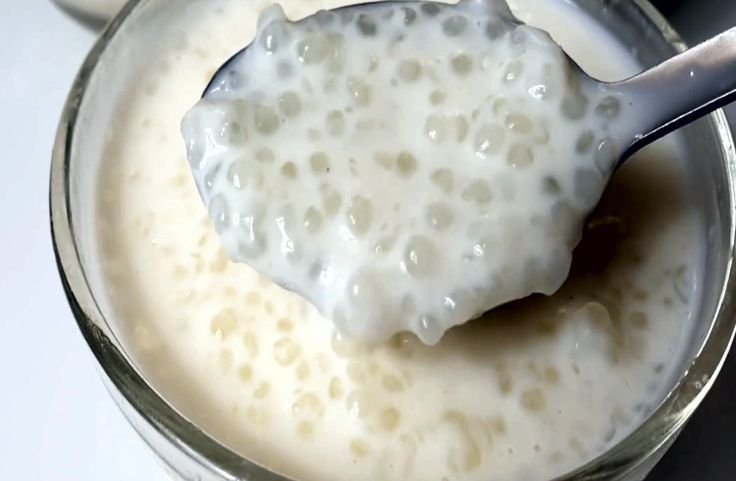 Basic tapioca pudding