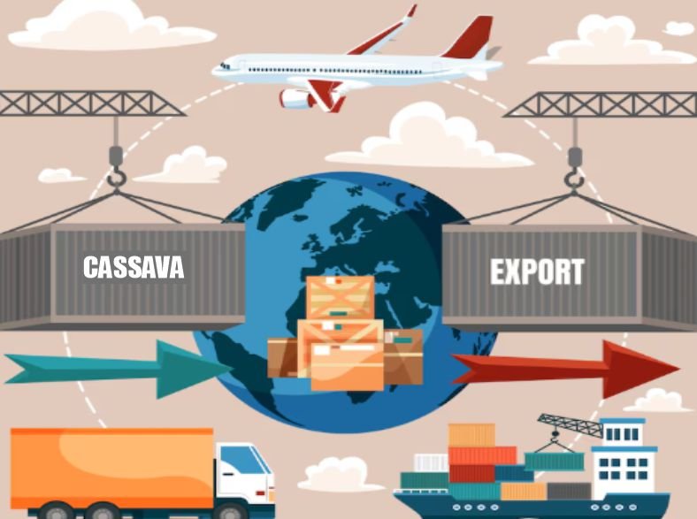 Economic Benefits of Cassava