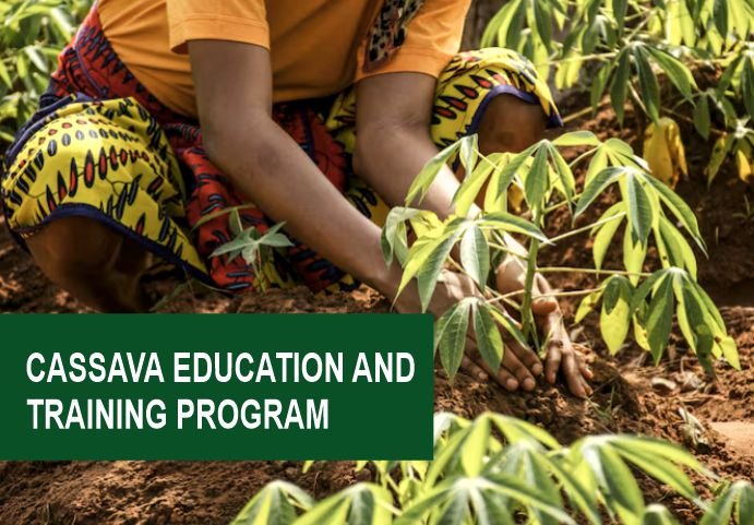 Cassava Education and Training Programs