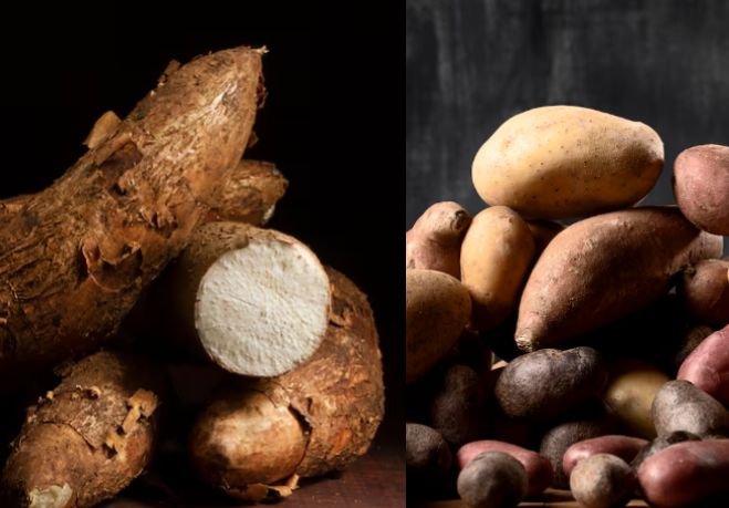 Resistant Starch in Cassava vs Potato for Gut Health