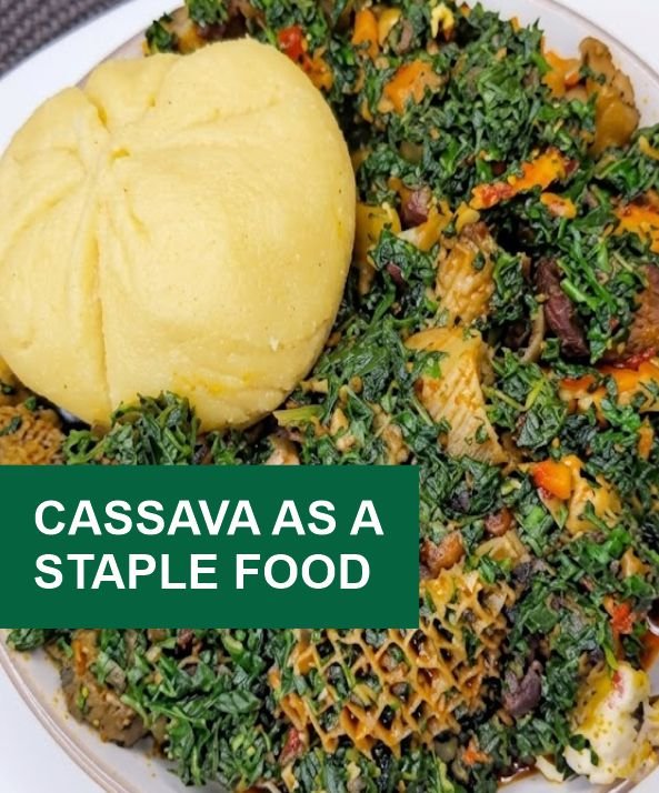 Garri and soup, depicting cassava as a staple food