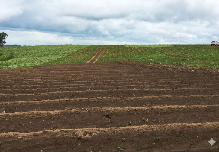 Preparing land for farming cassava