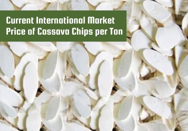 Current International Market Price of Cassava Chips per Ton