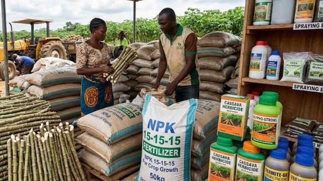 Cassava Agricultural Input Supply